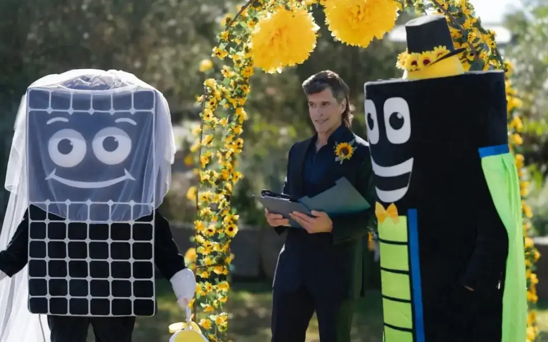 The Cheaper Home Batteries Program